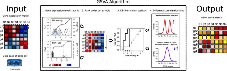 GSVA figure 1